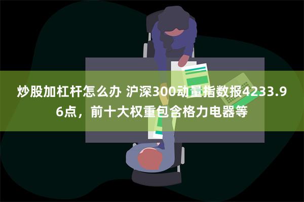 炒股加杠杆怎么办 沪深300动量指数报4233.96点，前十大权重包含格力电器等