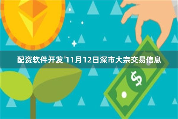 配资软件开发 11月12日深市大宗交易信息