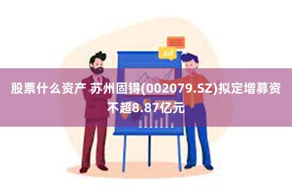 股票什么资产 苏州固锝(002079.SZ)拟定增募资不超8