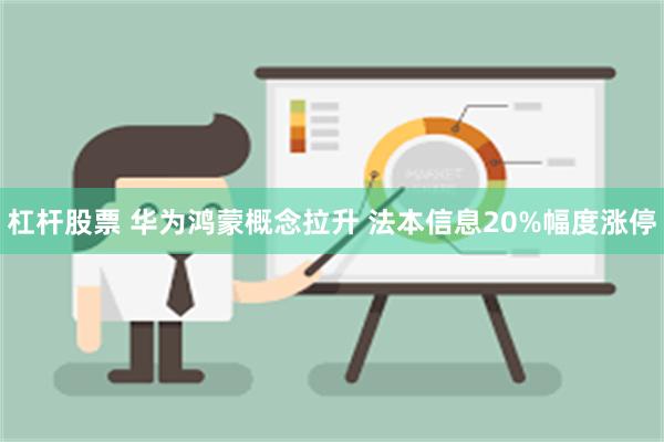 杠杆股票 华为鸿蒙概念拉升 法本信息20%幅度涨停