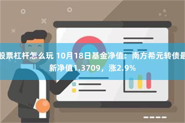 股票杠杆怎么玩 10月18日基金净值：南方希元转债最新净值1