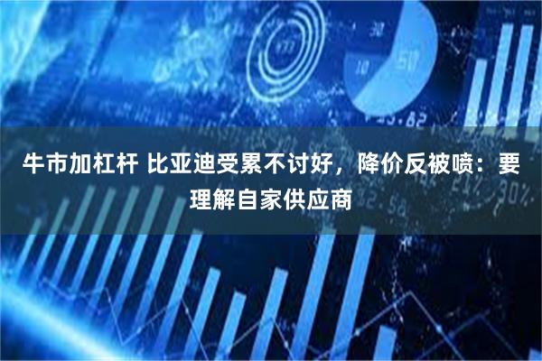 牛市加杠杆 比亚迪受累不讨好，降价反被喷：要理解自家供应商