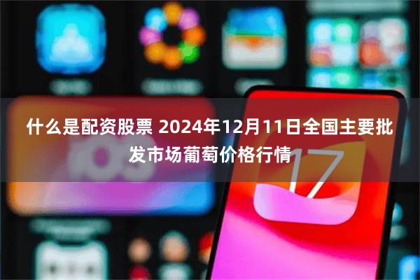 什么是配资股票 2024年12月11日全国主要批发市场葡萄价格行情