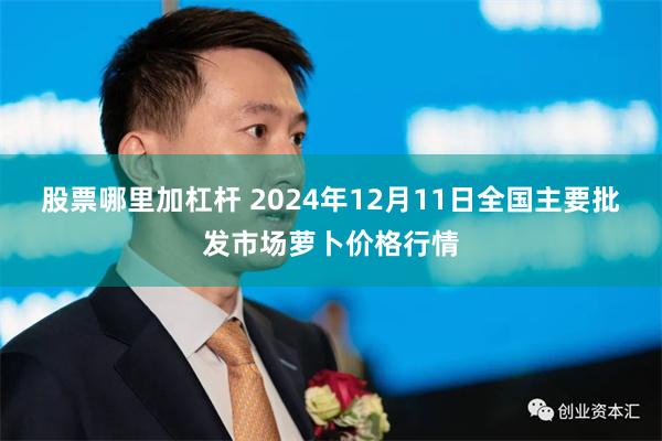 股票哪里加杠杆 2024年12月11日全国主要批发市场萝卜价格行情