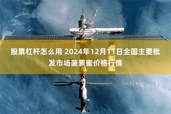 股票杠杆怎么用 2024年12月11日全国主要批发市场菠萝蜜价格行情