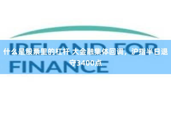 什么是股票里的杠杆 大金融集体回调，沪指半日退守3400点