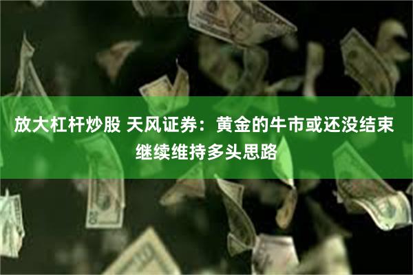 放大杠杆炒股 天风证券：黄金的牛市或还没结束 继续维持多头思路