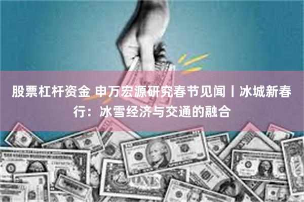 股票杠杆资金 申万宏源研究春节见闻丨冰城新春行：冰雪经济与交通的融合