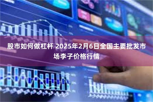 股市如何做杠杆 2025年2月6日全国主要批发市场李子价格行情