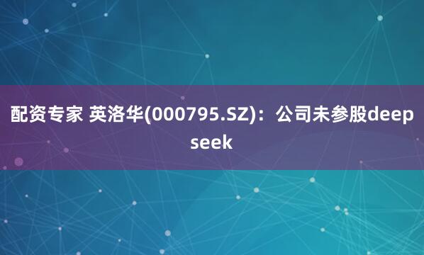 配资专家 英洛华(000795.SZ)：公司未参股deepseek