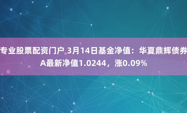 专业股票配资门户 3月14日基金净值：华夏鼎辉债券A最新净值1.0244，涨0.09%